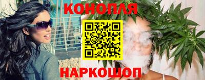прущие крисы Малгобек